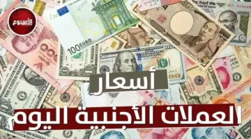 أسعار العملات العربية والأجنبية اليوم الأحد 19 أبريل 2026
